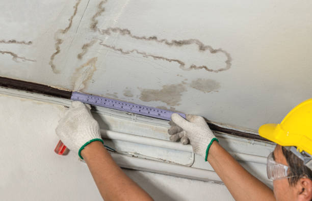 Reliable Water Damage contractor in Dunkirk, OH by Water Damage Irwin